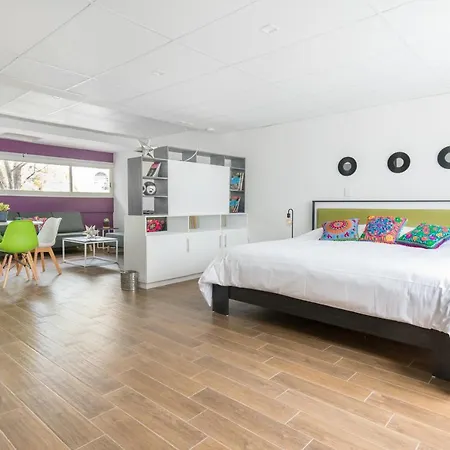 Deluxe Loft At Colonia Roma Apartment