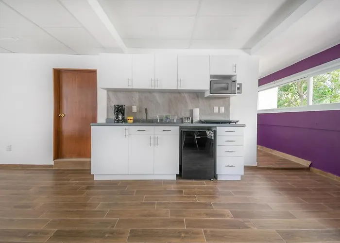 Deluxe Loft At Colonia Roma