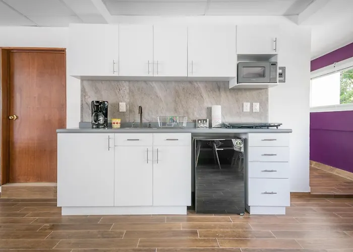Deluxe Loft At Colonia Roma
